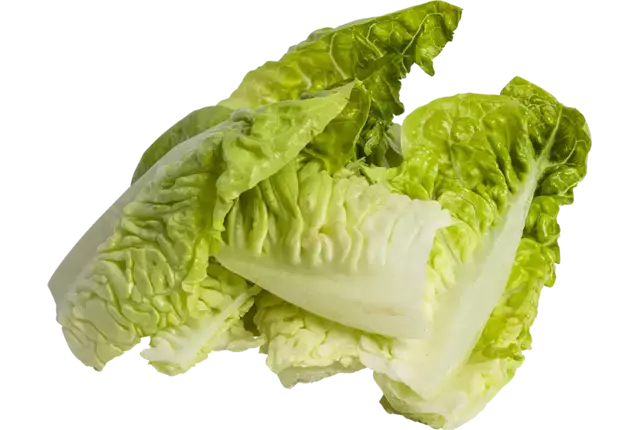 Little gem schoon 1-4 zak 1kg